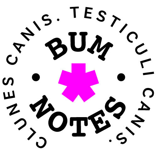 BumNotes Guitar Picks Logo